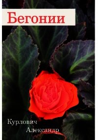 Бегонии - Курлович Александр