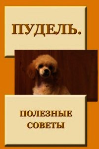 Пудель. Полезные советы - Мельников Илья