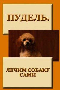 Пудель. Лечим собаку сами - Мельников Илья