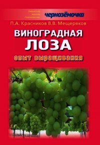 Виноградная лоза. Опыт выращивания - Красников Петр Алексеевич