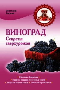 Виноград для начинающих - Ларина Светлана