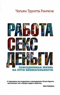 Работа, секс, деньги. Повседневная жизнь на пути внимательности - Ринпоче Чогьям