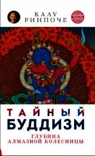 Тайный буддизм. Том III. Глубина Алмазной колесницы - Ринпоче Калу