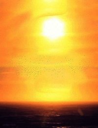 Методика «Солнечная медитация» - Михайлов Елисей