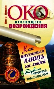 Око настоящего возрождения. Практика обретения богатства от тибетских лам - Левин Петр