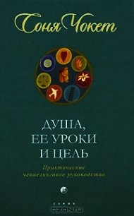 Душа, ее уроки и цель. Практическое ченнелинговое руководство - Чокет Соня
