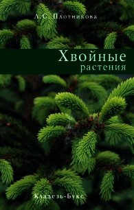Хвойные растения - Плотникова Лилиан С.