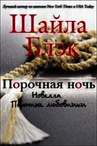 Порочная ночь (ЛП) - Брэдли Шелли