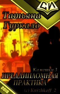 Преддипломная практика (СИ) - Гуркало Татьяна Николаевна