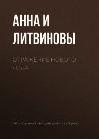 Отражение Нового года - Литвиновы Анна и Сергей