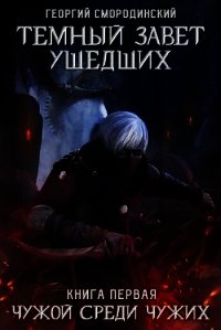Темный Завет Ушедших. Чужой среди чужих (СИ) - Смородинский Георгий Георгиевич