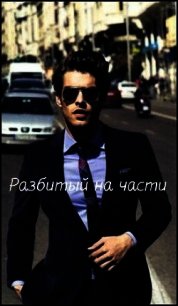 Разбитый на части (СИ) - "Mr Loser"