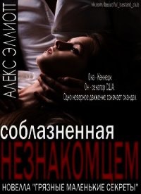 Соблазненная незнакомцем (ЛП) - Эллиотт Алекс