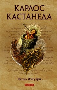 Огонь изнутри - Кастанеда Карлос Сезар Арана