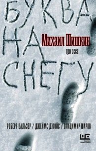 Буква на снегу - Шишкин Михаил Павлович