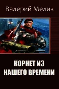 Корнет из нашего времени. Часть первая (СИ) - Мелик Валерий