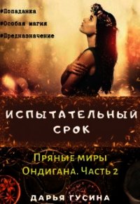 Испытательный срок. (СИ) - Гусина Дарья