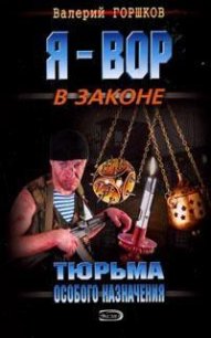 Тюрьма особого назначения - Горшков Валерий Сергеевич